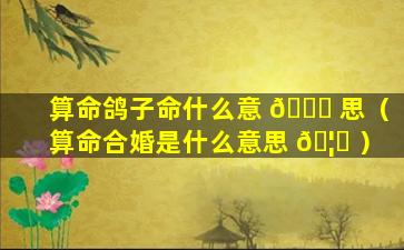 算命鸽子命什么意 🐅 思（算命合婚是什么意思 🦟 ）